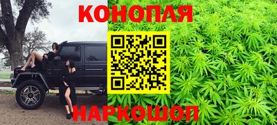 гидра Дубна